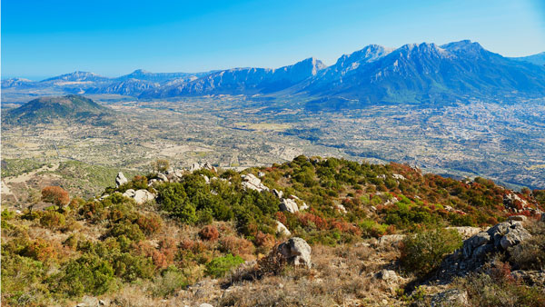 MCA Sardinia Transfer - Excursions in heart of Sardinia